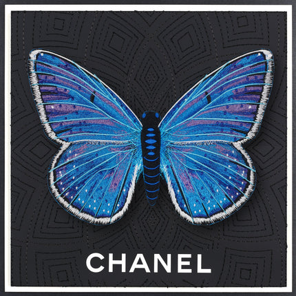 Adonis Blue Butterfly Framed - Stephen Wilson Studio