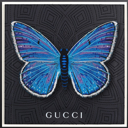 Adonis Blue Butterfly Framed - Stephen Wilson Studio