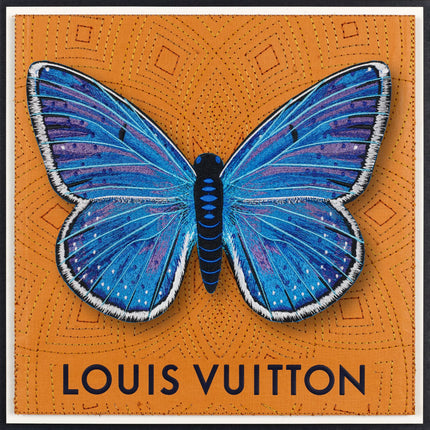 Adonis Blue Butterfly Framed - Stephen Wilson Studio