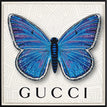 Gucci White