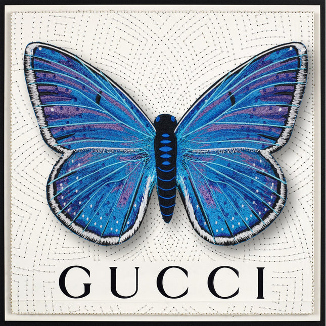 Adonis Blue Butterfly Framed - Stephen Wilson Studio