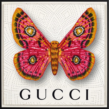 African Moth Framed - Stephen Wilson Studio