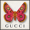 Gucci White