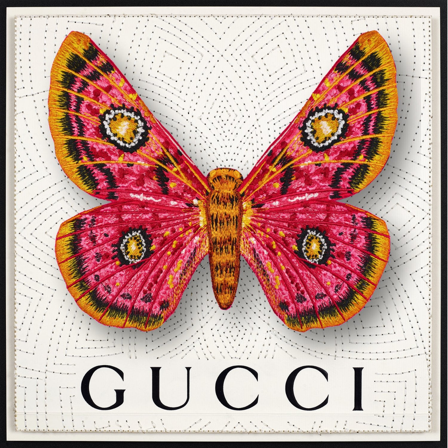 African Moth Framed - Stephen Wilson Studio