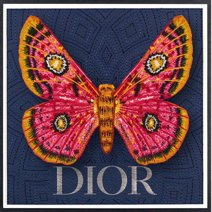 African Moth Framed - Stephen Wilson Studio