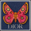 Dior Navy