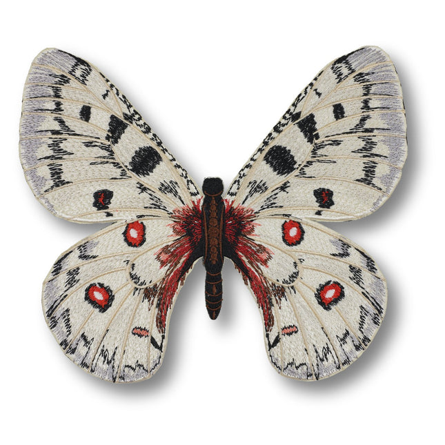 Apollo Butterfly 6" through 12" - Stephen Wilson Studio