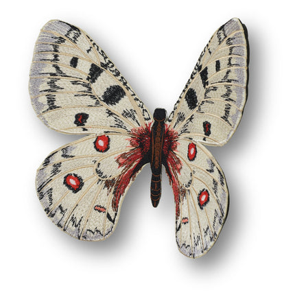 Apollo Butterfly 6" through 12" - Stephen Wilson Studio