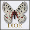 Dior White