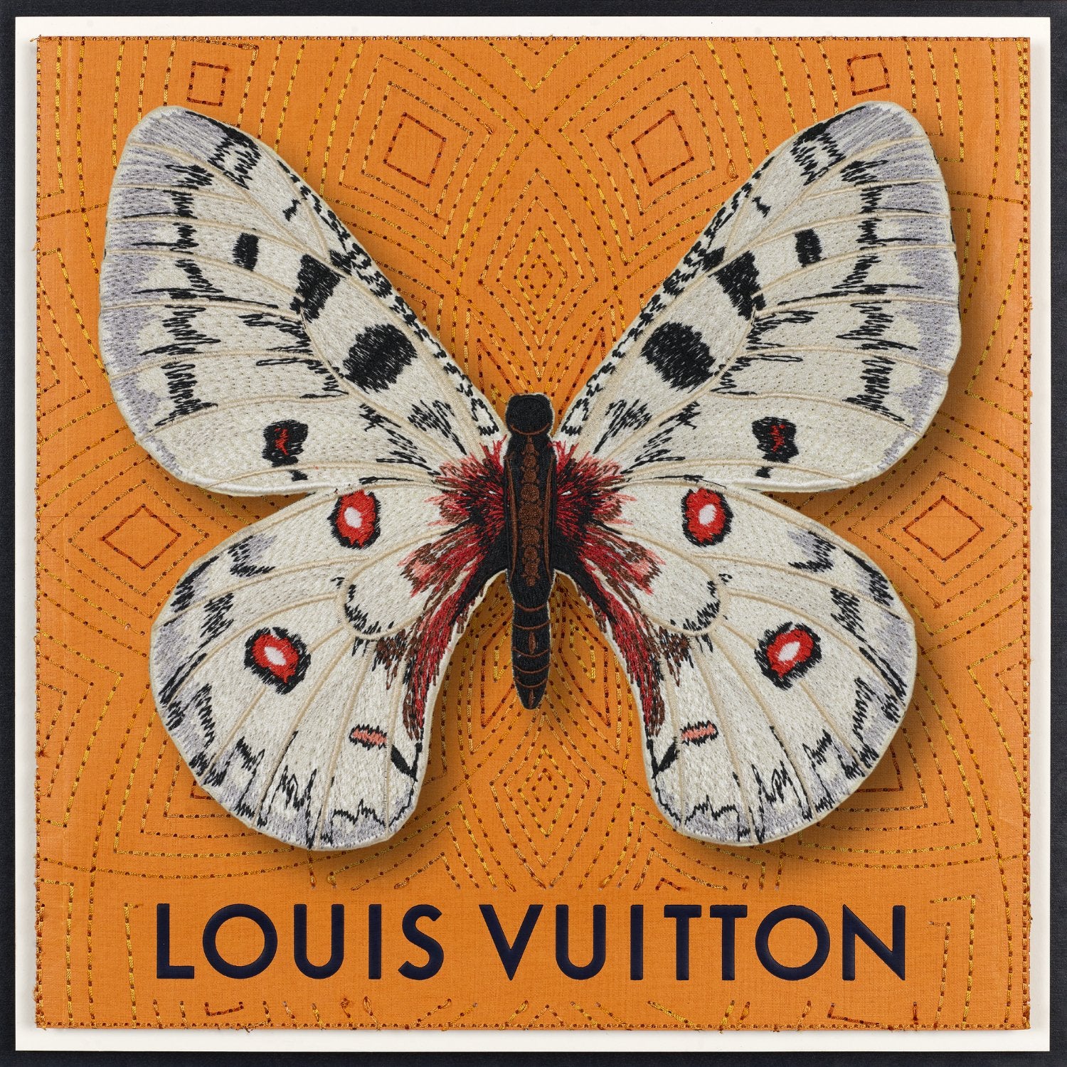 Apollo Butterfly Framed - Stephen Wilson Studio