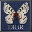 Dior Navy