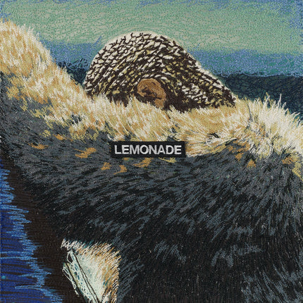 Beyonce, Lemonade - Stephen Wilson Studio