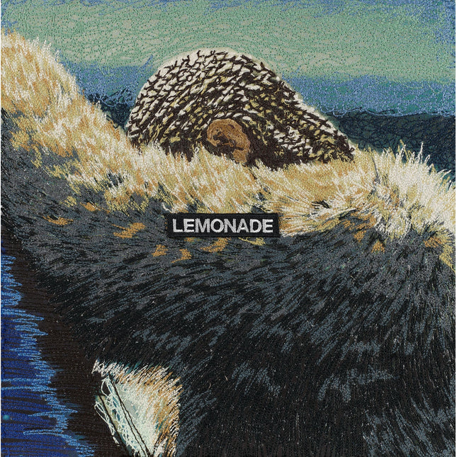 Beyonce, Lemonade - Stephen Wilson Studio