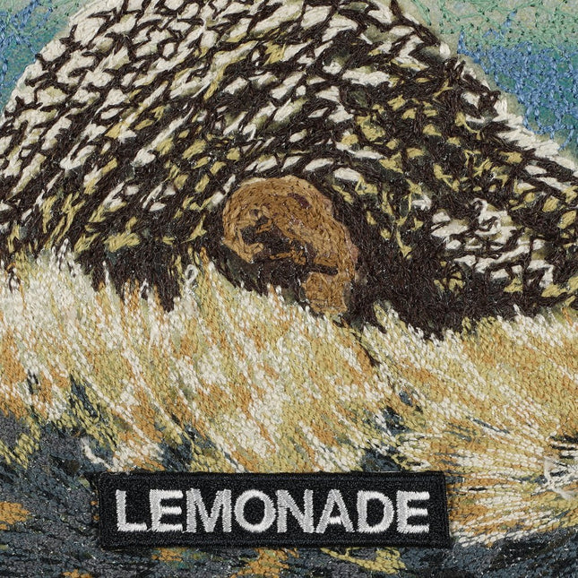 Beyonce, Lemonade - Stephen Wilson Studio