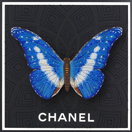 Blue Morpho Helena Butterfly Framed - Stephen Wilson Studio