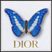 Dior White