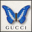 Gucci White