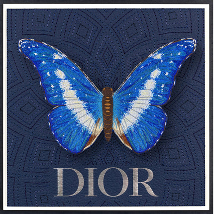 Blue Morpho Helena Butterfly Framed - Stephen Wilson Studio