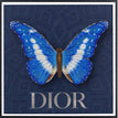 Dior Navy
