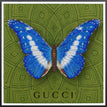Gucci Green