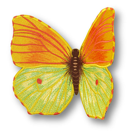 Brimstone Butterfly 6" through 12" - Stephen Wilson Studio