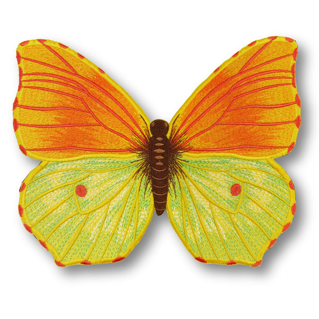 Brimstone Butterfly 6" through 12" - Stephen Wilson Studio
