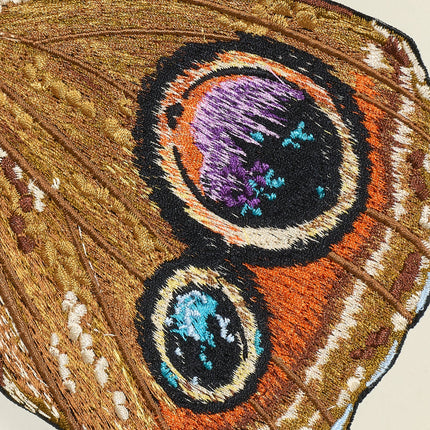 Buckeye Butterfly 6" through 12" - Stephen Wilson Studio