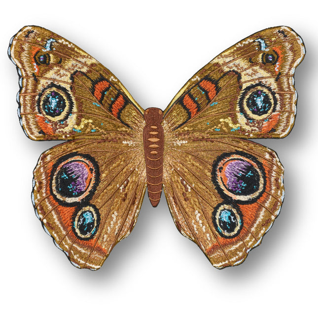 Buckeye Butterfly 6" through 12" - Stephen Wilson Studio