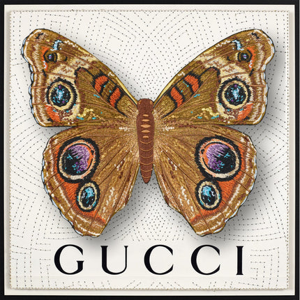 Buckeye Butterfly Framed - Stephen Wilson Studio