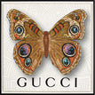 Gucci White