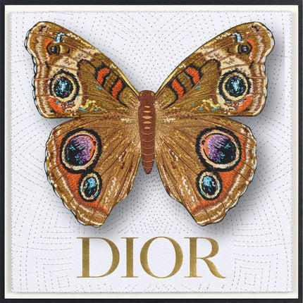 Buckeye Butterfly Framed - Stephen Wilson Studio