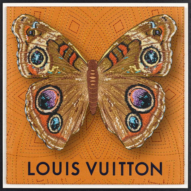 Buckeye Butterfly Framed - Stephen Wilson Studio