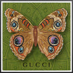 Gucci Green