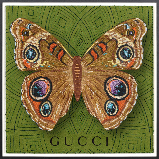 Buckeye Butterfly Framed - Stephen Wilson Studio