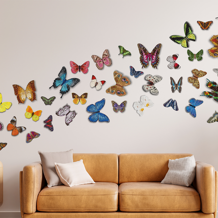 36-Butterfly Installation