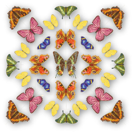 Butterfly Mandala 1 - Stephen Wilson Studio