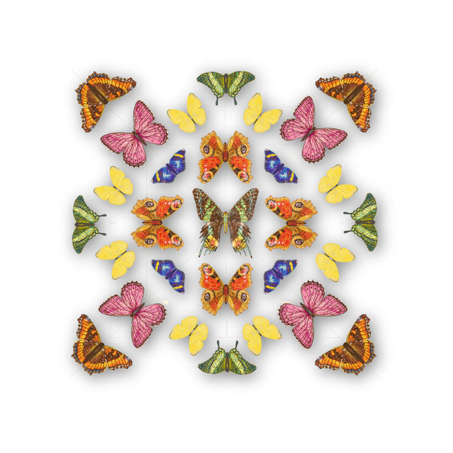 Butterfly Mandala 1 - Stephen Wilson Studio