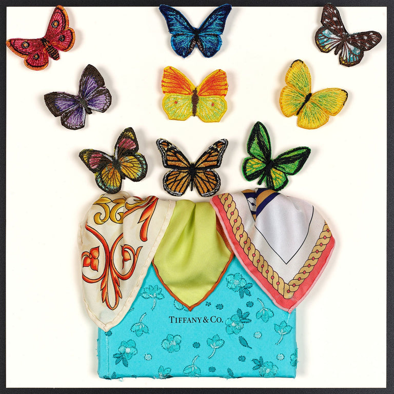 Butterfly Surprise 12"x12" - Stephen Wilson Studio