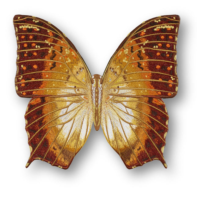 Charaxas Butterfly 6" through 12" - Stephen Wilson Studio