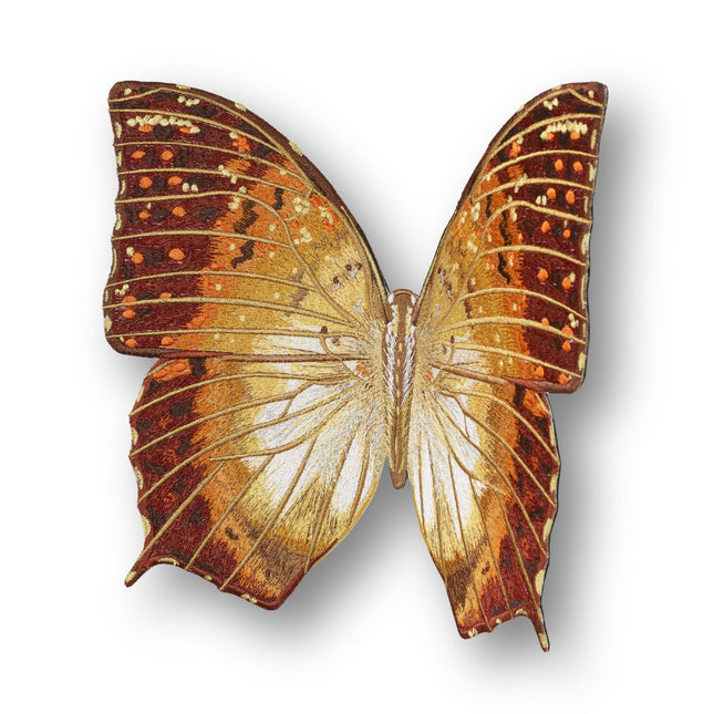 Charaxas Butterfly 6" through 12" - Stephen Wilson Studio