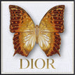 Dior White