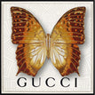 Gucci White