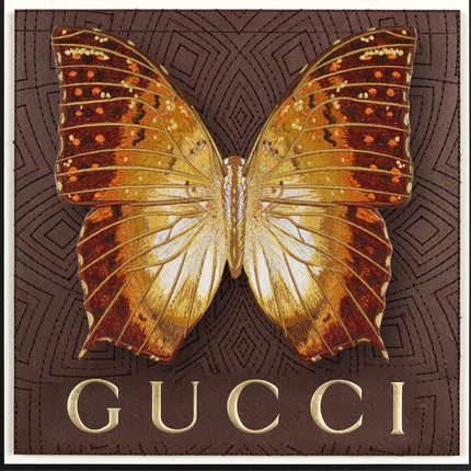 Charaxis Butterfly Framed - Stephen Wilson Studio