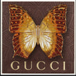 Gucci Brown