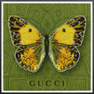 Gucci Green