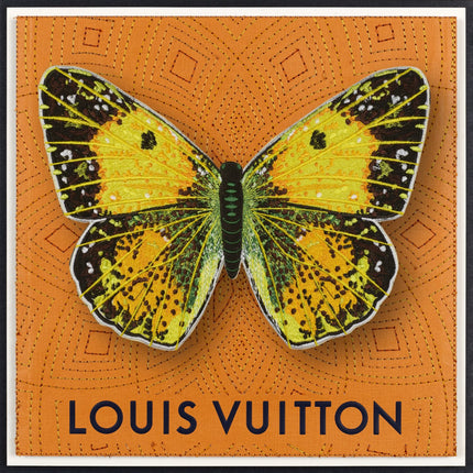 Clouded Sulfur Butterfly Framed - Stephen Wilson Studio