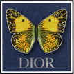 Dior Navy