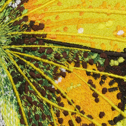 Clouded Sulphur Butterfly 6" through 12" - Stephen Wilson Studio