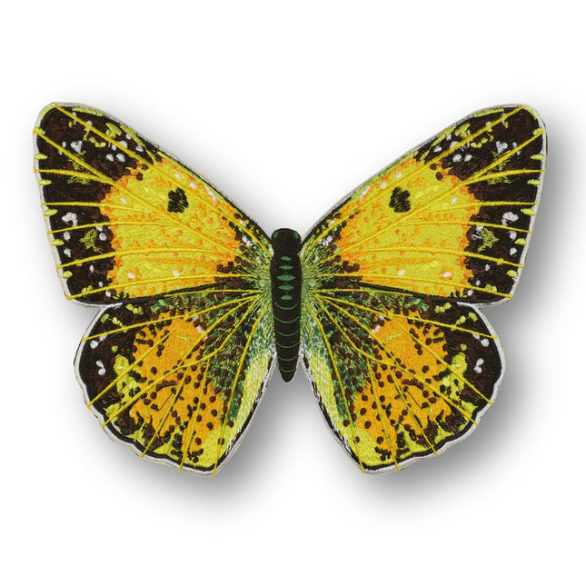 Clouded Sulphur Butterfly 6" through 12" - Stephen Wilson Studio