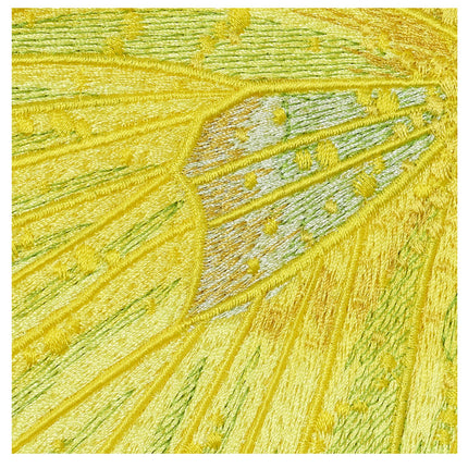 Cloudless Sulphur Butterfly 6" through 12" - Stephen Wilson Studio